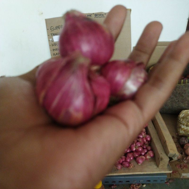 

Bawang Merah 1kg Super A nganjuk panen sendiri