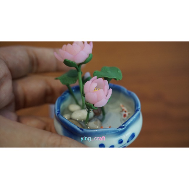 Bunga lotus, lotus, teratai miniatur