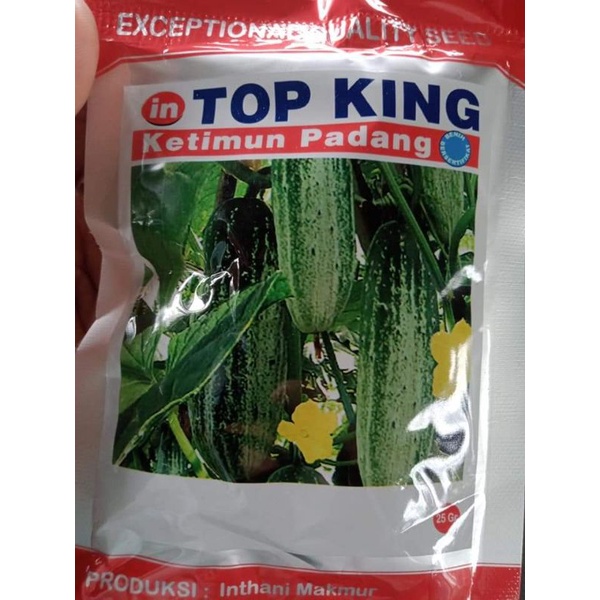 Bibit Mentimun Top King - bibit mentimun Padang