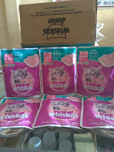 WHISKAS POUCH SACHET 85G/80G 1+ dan WHISKAS JUNIOR TUNA WET CAT FOOD untuk anak kucing