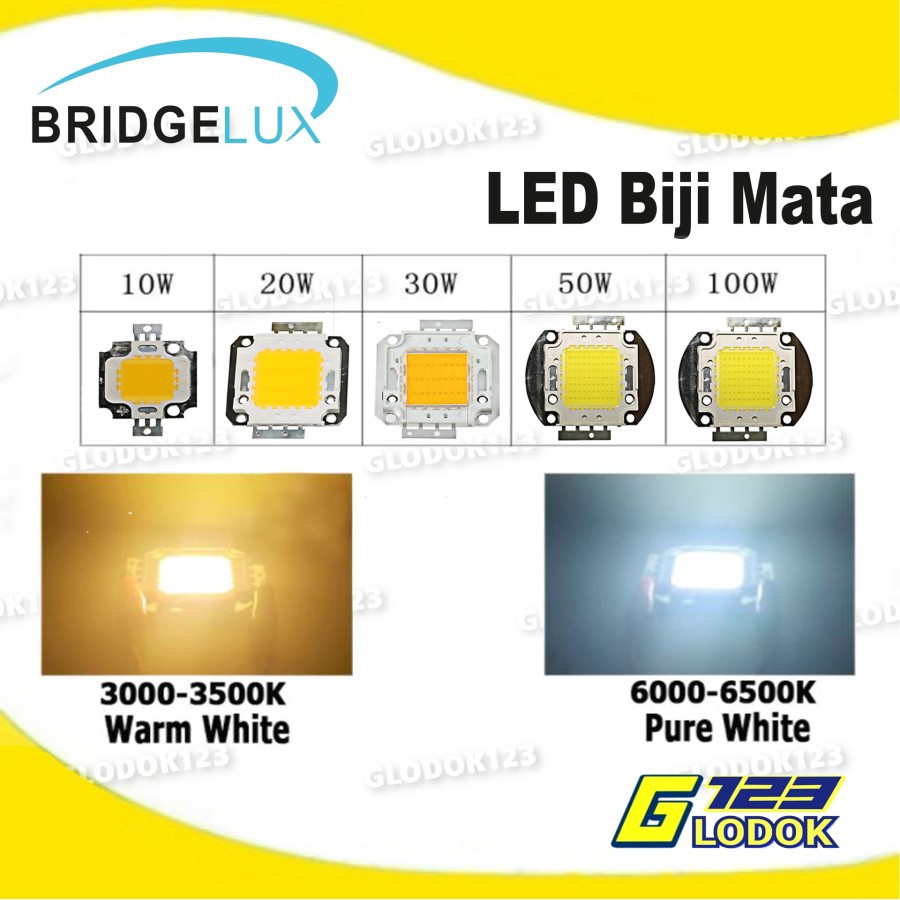 LED Lampu Biji Mata 10 - 100 Watt Super Terang 800LM - 12.000LM Indoor Outdoor