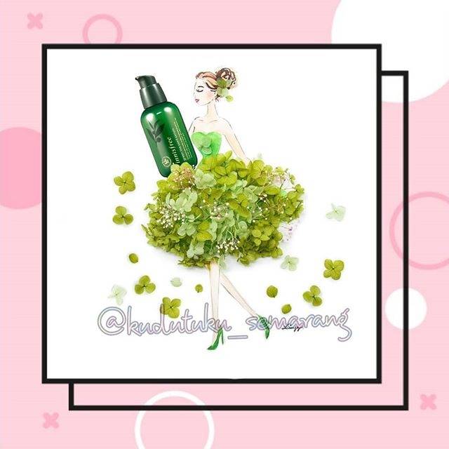 Serum innisfree green tea