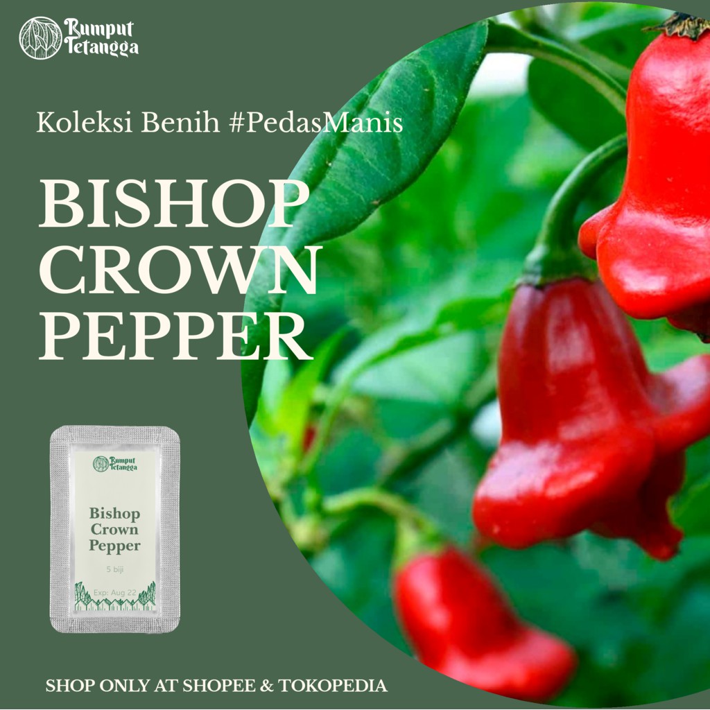 BENIH BISHOP CROWN PEPPER. CABE HIAS