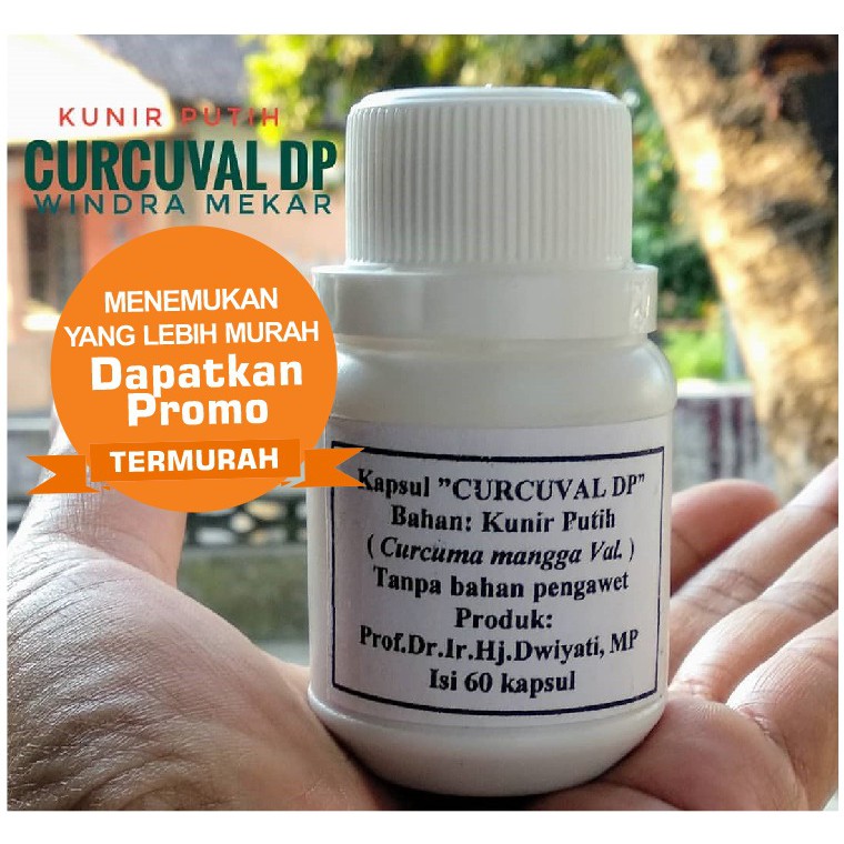 Kunir Putih Obat Herbal Asam Urat Kolesterol Diabetes Vertigo Hipertensi Darah Rendah Darah Tinggi Shopee Indonesia