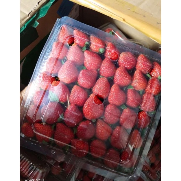 

stoberry