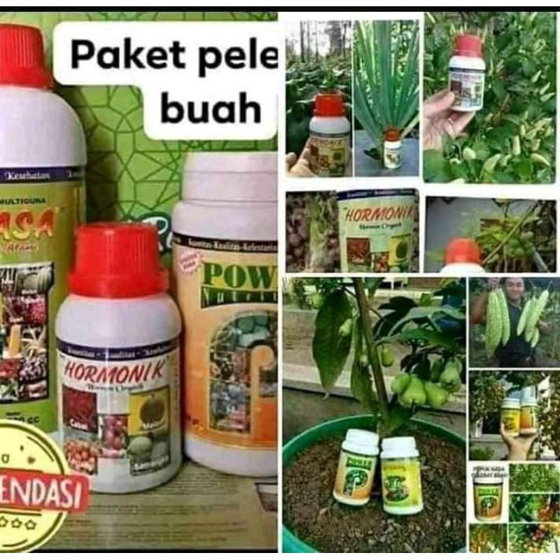 Poc nasa