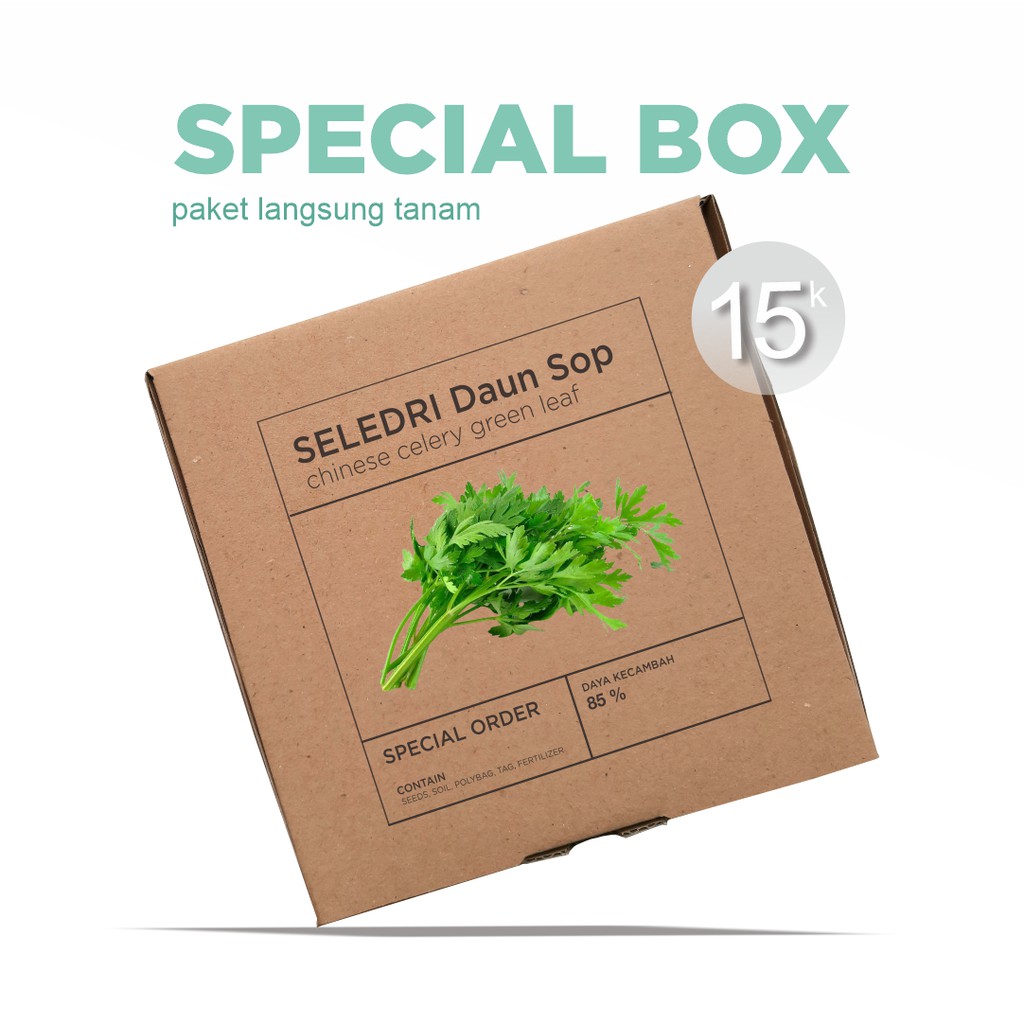 Paket Langsung Tanam - Gardening Kit - SPECIAL BOX - Benih Seledri Daun Sop Chinese Celery Seeds