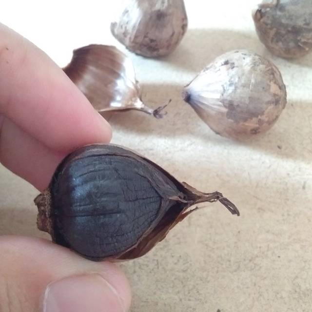 

Bawang Hitam Solo