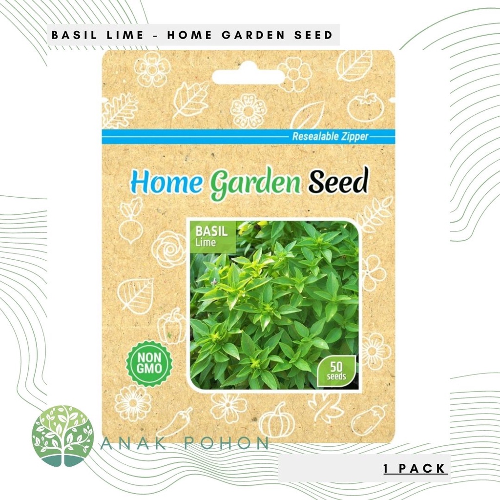 (1 PACK) Benih Citrus Basil Lime Herb Seeds - Home Garden Seed HGS - 50 SEEDS