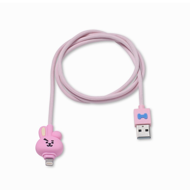 [HANDCARRY] BT21 USB Cable Type C