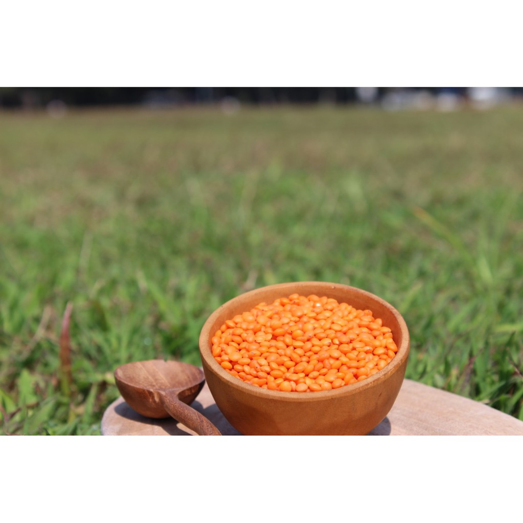 

Natural Red Lentil/ Organik Kacang Lentil Merah Impor Dari INDIA 500gr