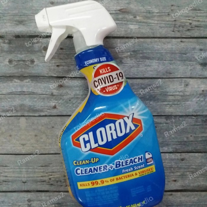 Clorox Clean Up Cleaner + Bleach USA Sinore Plus Bubble Wrap