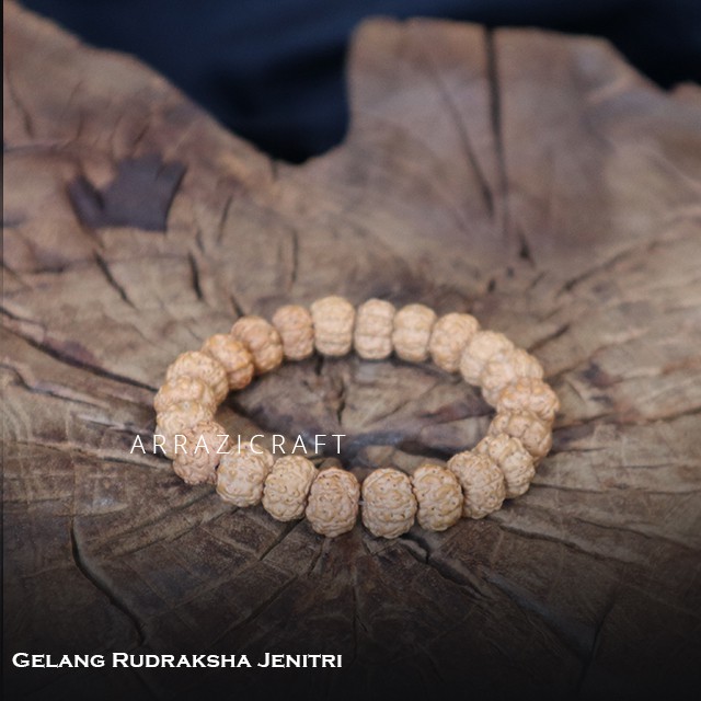 Gelang Alami Biji Buah Jenitri Genitri Rudraksha Kebumen ASLI untuk Pria Wanita