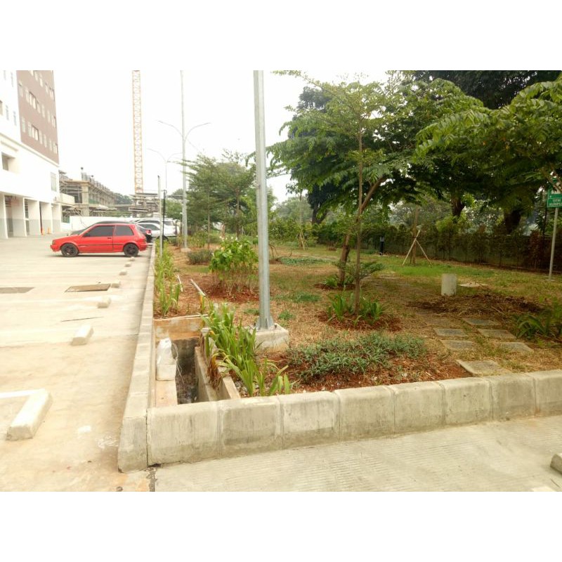 jasa pembuatan taman rumah-perkantoran dan gedung