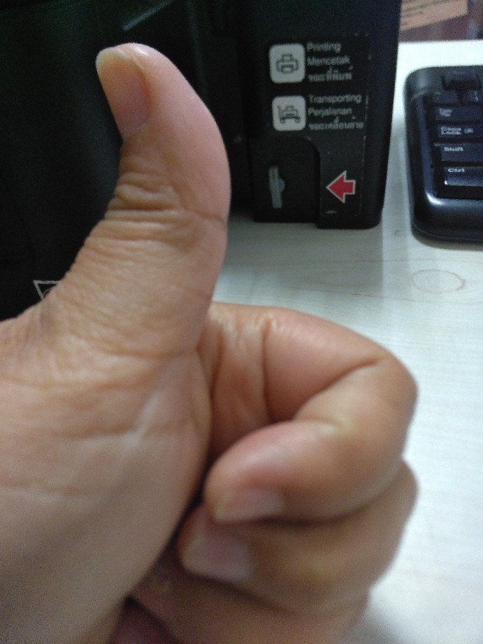 Brush Masak Bahan Silikon Warna Acak Untuk Dapur Rumah