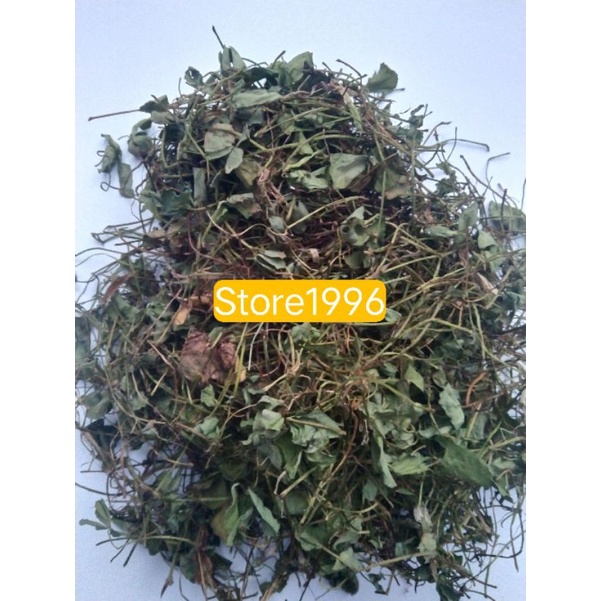 

Daun Semanggi kering cabang empat 200 gram