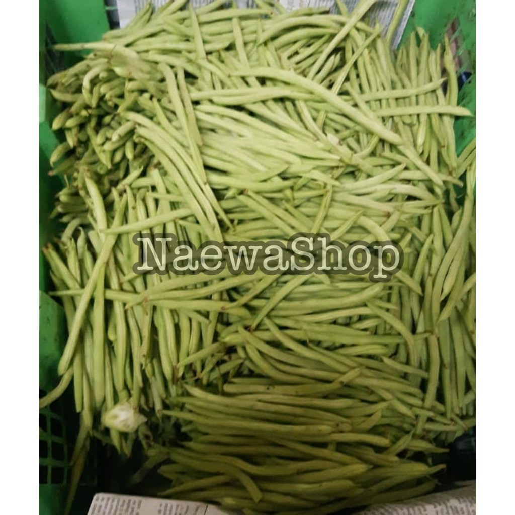 

Buncis Baby Segar 250 gram Rasa Lebih Manis