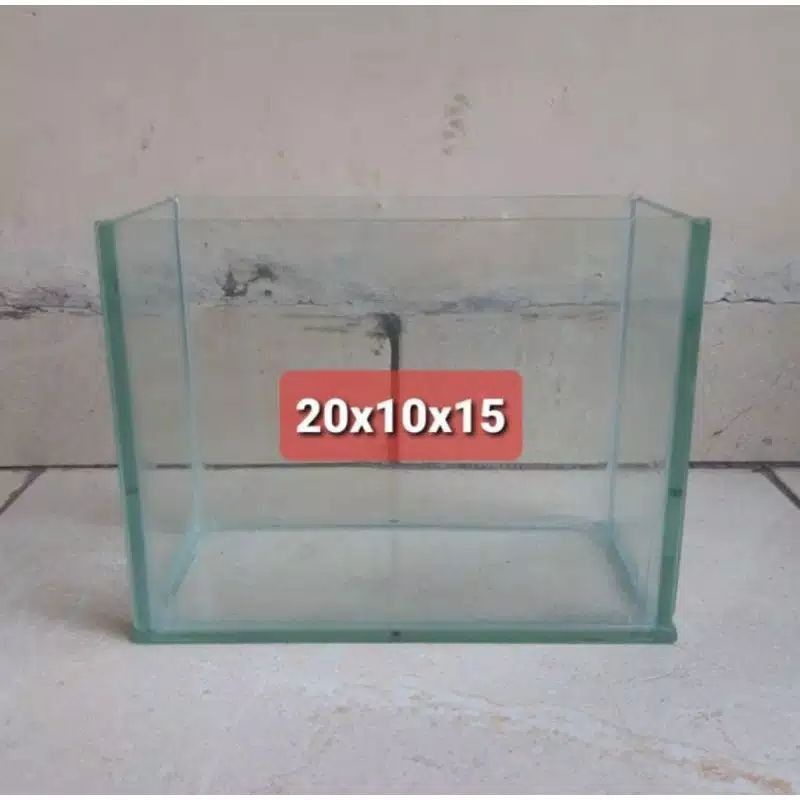 Soliter kaca ikan cupang soliter ikan gepy