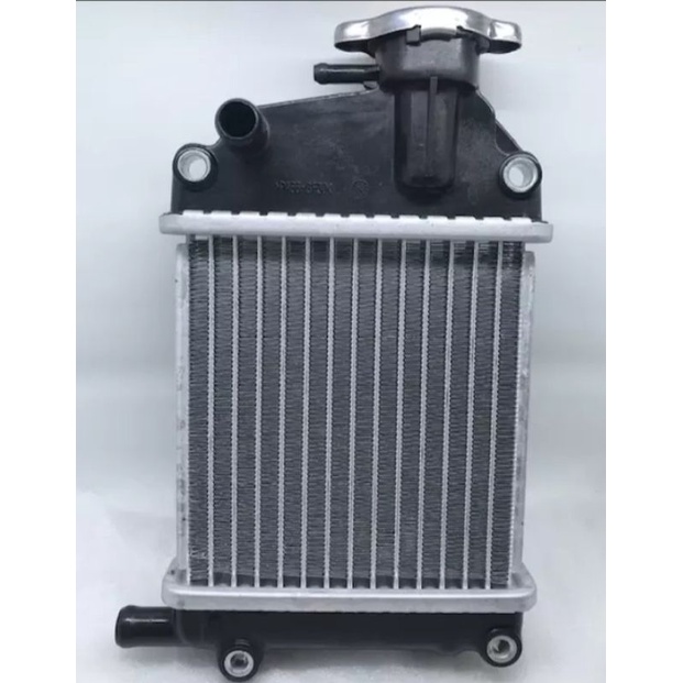 RADIATOR COMP VARIO 110 CARBU 19010KVBN51