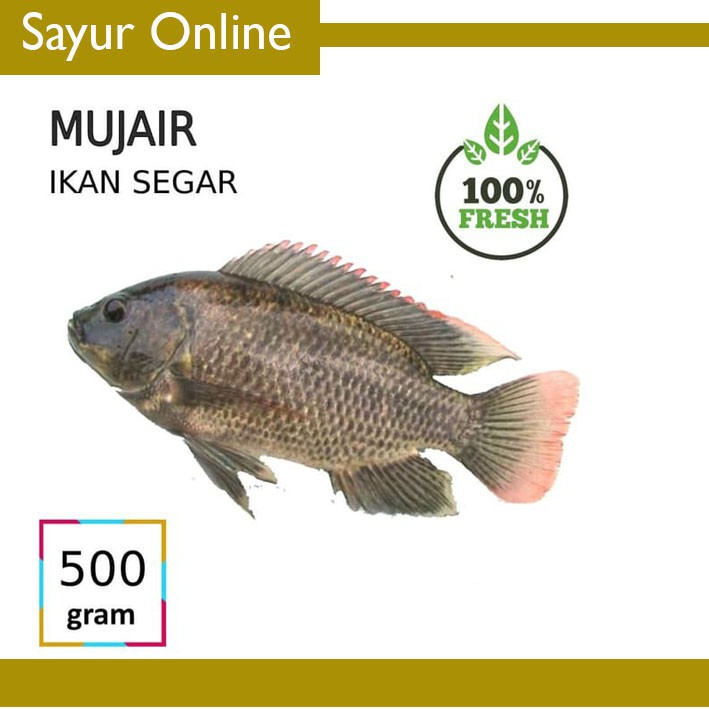 

[SayurOnline] IKAN MUJAIR [500g]