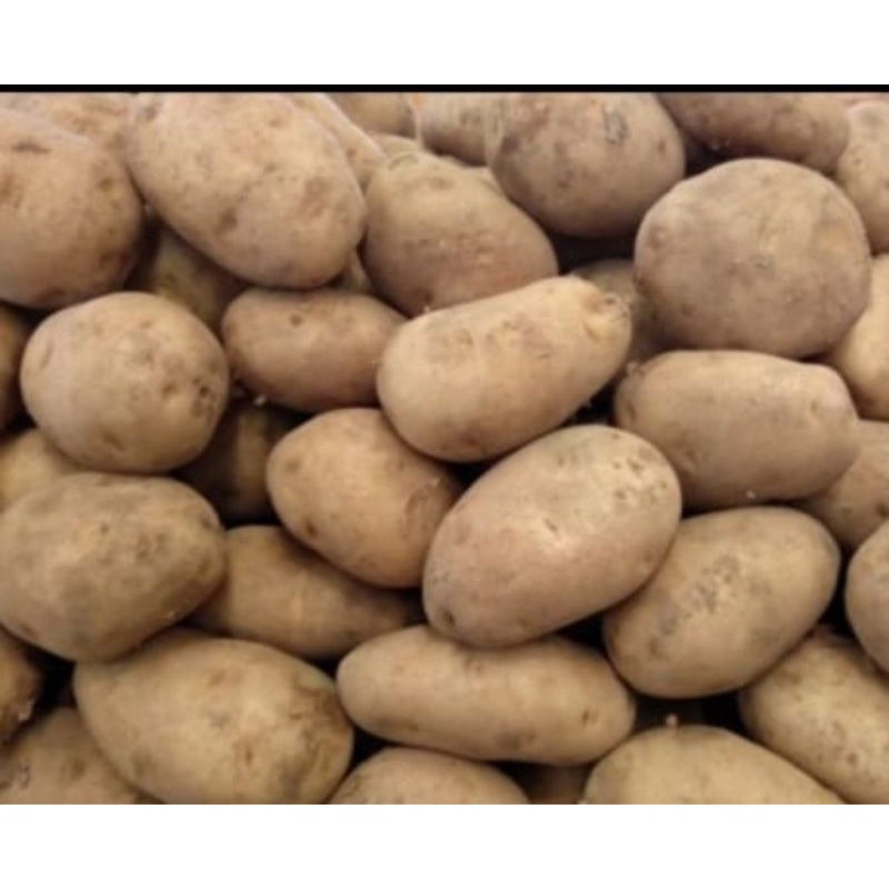 

kentang berkualitas 1kg