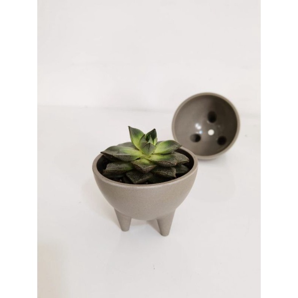 BSD-Wadah Pot Kidding Abu-Abu Tua 9cm