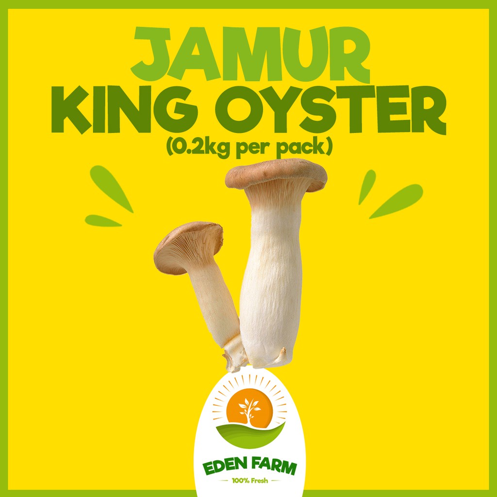 

PROMO JAMUR KING OYSTER PER PACK - SAYUR BUAH MURAH 100% FRESH
