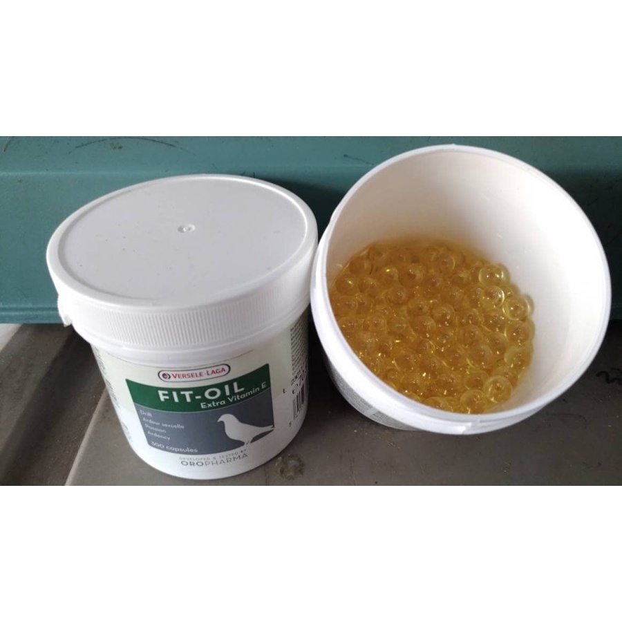 fit oil minya ikan versele laga merpati