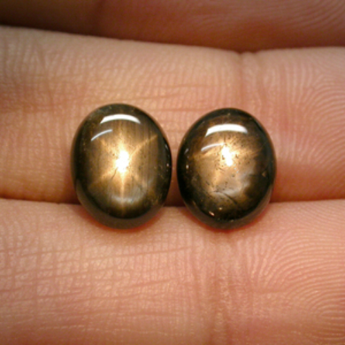 Oval Cabochon 9.5x7.5 mm Natural 6 Rays Golden Black Star SAPPHIRE 3.42ct SS601