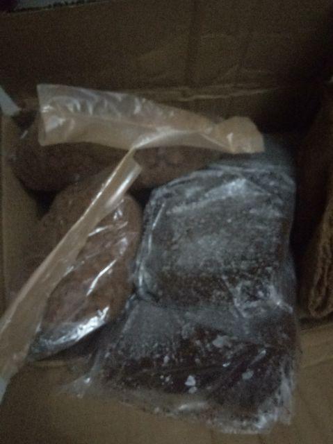 Obat Anti Semut Dan Kecoa Miejiqing