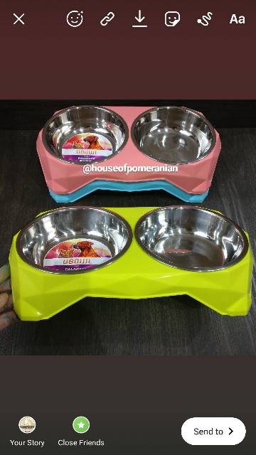 Mangkok tempat makan anjing kucing kelinci hewan dog bowl stainless food