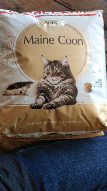 Royal Canin Adult Maine Coon 4kg Makanan Kucing Mainecoon Adult