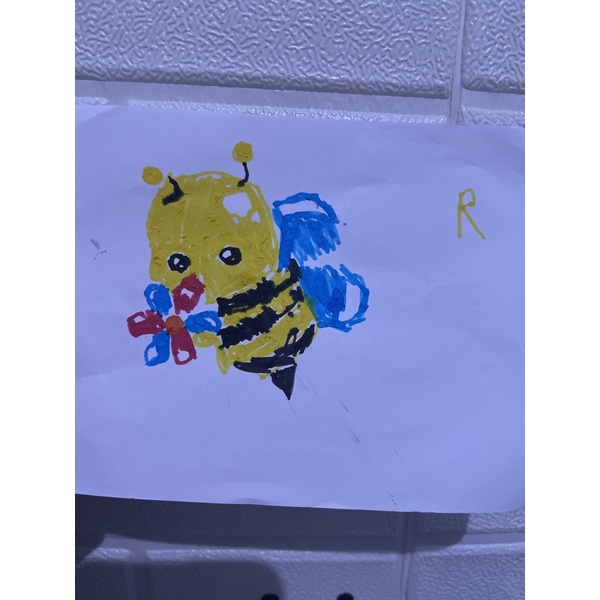 

ladybug R