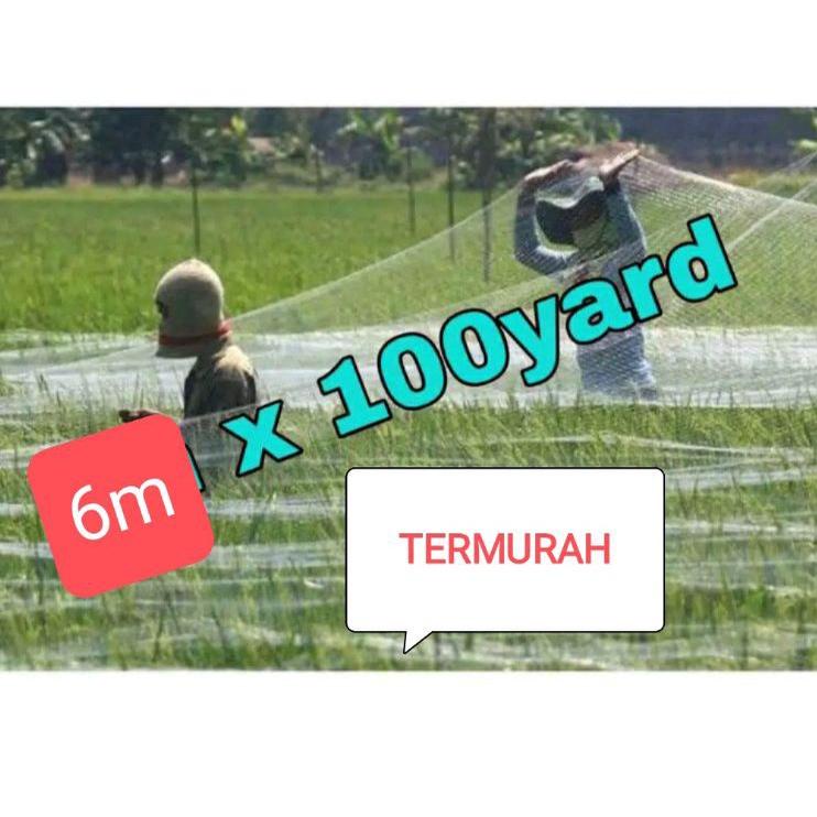 Harga Hemat JARING BURUNG JARING PADI JARING EMPRIT JARING SAWAH 6 x 90 METER JEBAKAN PERANGKAP BURUNG JARING3