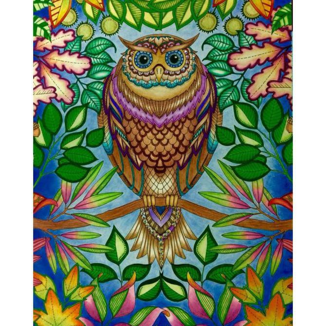Secret Garden Artists Edition By Johanna Basford Adult Coloring Book