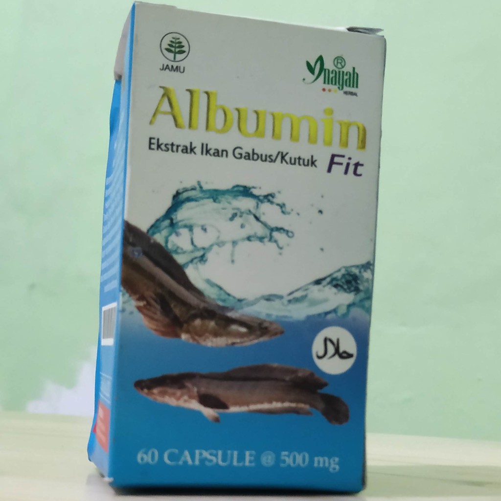 

ALBUMIN FIT EKSTAK IKAN GABUS/ KUTUK