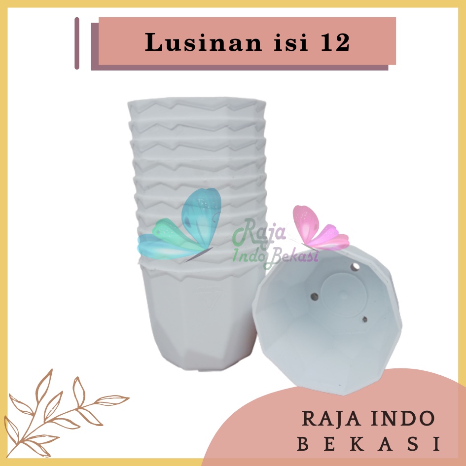 Lusinan Isi 12 Pcs Pot Permata 8CM Putih Pot 8 Cm Putih Pot Plastik Kaktus Mini Lucu Murah Grosir