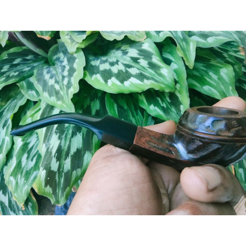 pipa cangklong briar import