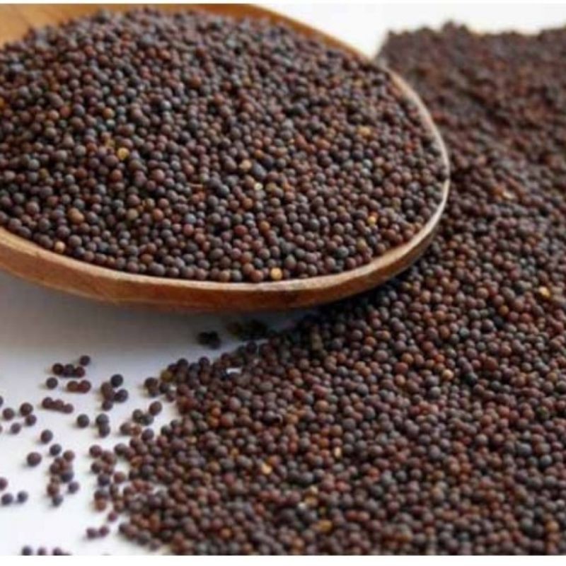 

MUSTARD SEED 100G