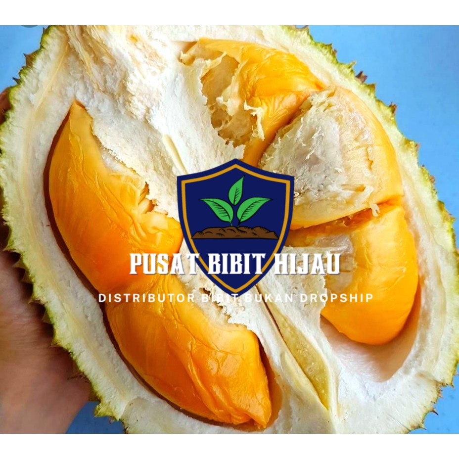 Ezy durian batu caves