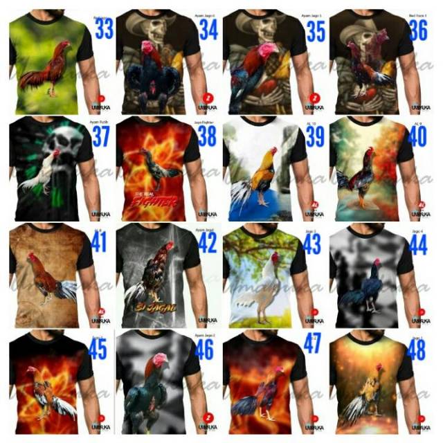 Kaos ayam jago ayam bangkok