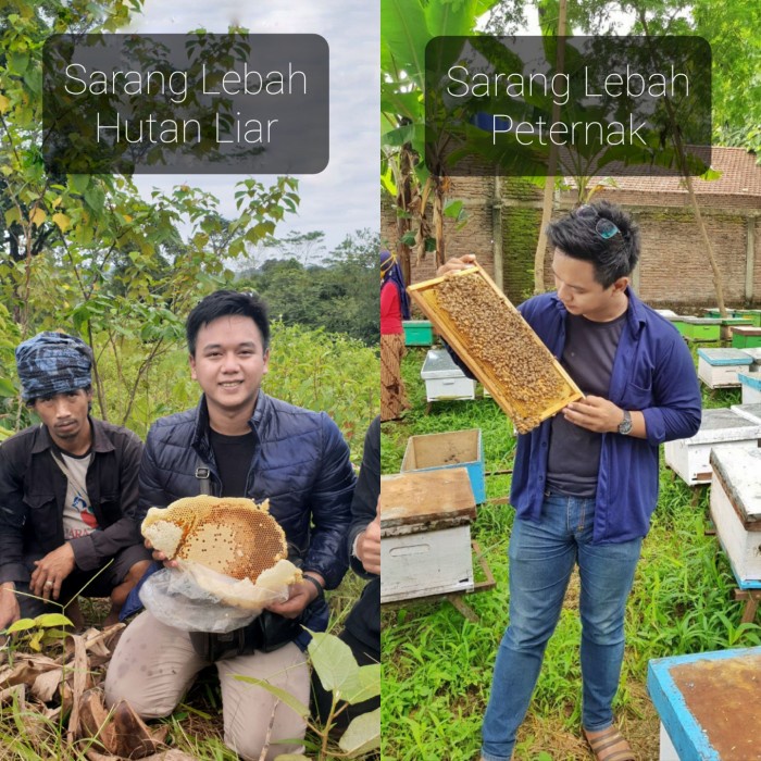 

bf011bb Supplier Madu Sumbawa Asli Ukuran 1 Liter Berat 1 Kg - Madu Coklat Ds201Fs