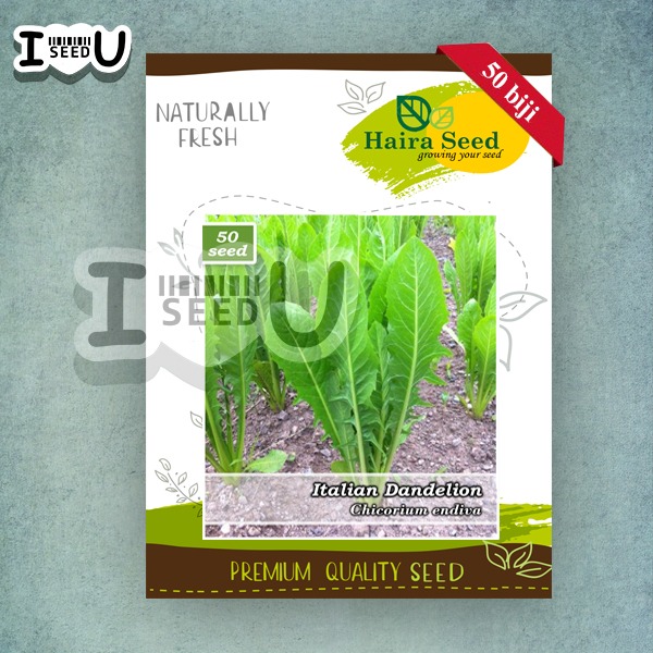 Haira Seed Bibit-Biji Italian Dandelion