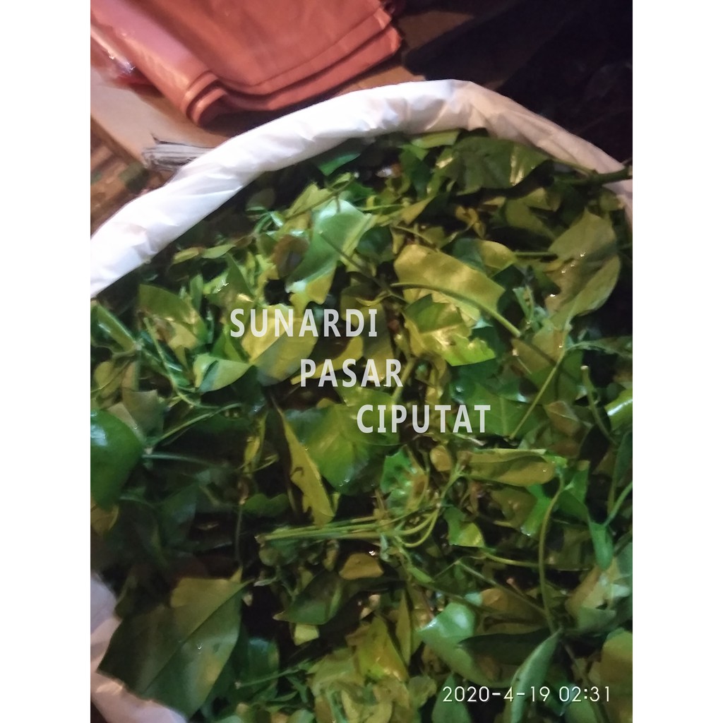 Daun melinjo 100 gram