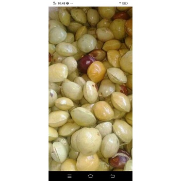 

Jengkol bengkulu 1kg