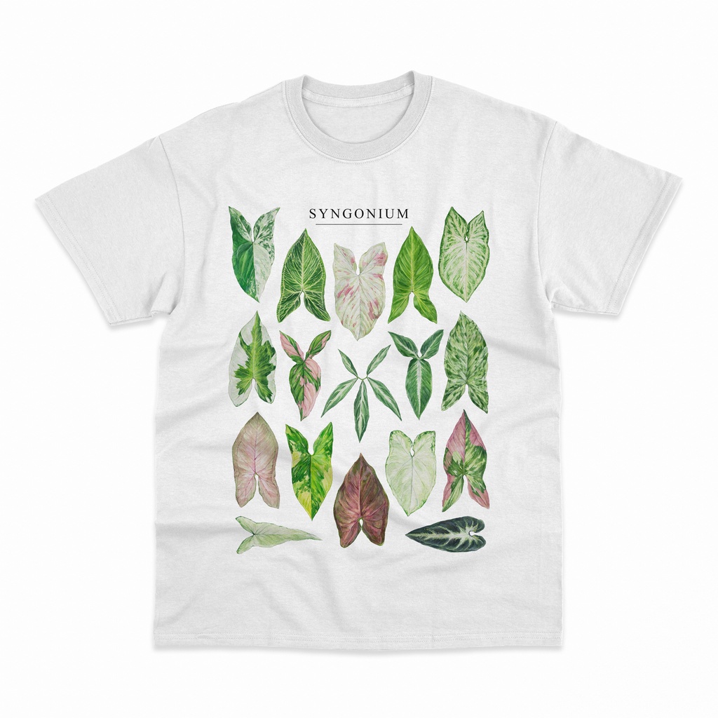 Kaos Syngonium Spesies Aroid Philodendron Anthurium Alocasia Monstera Tanaman Plant Lover