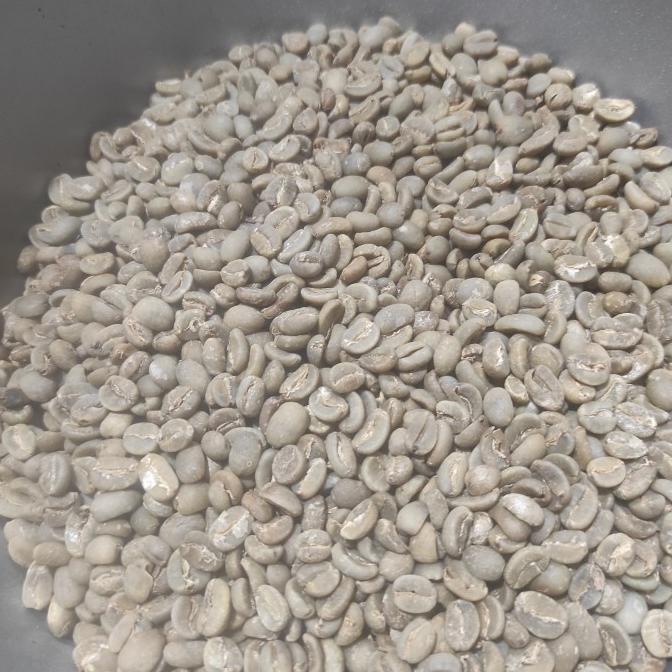 

[COD] GREEN BEAN ARABICA TORAJA semi wash 1000gr [COD]