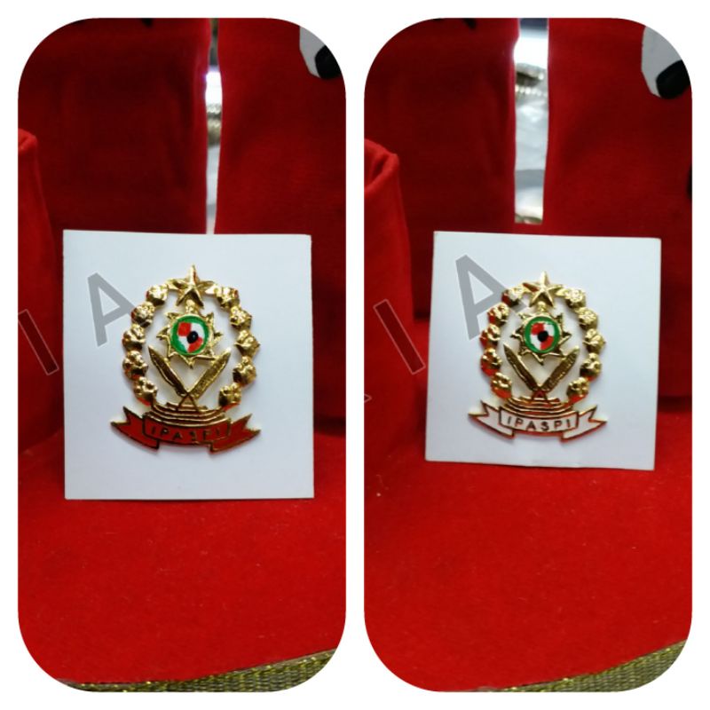 RB PIN IPASPI MAGNET