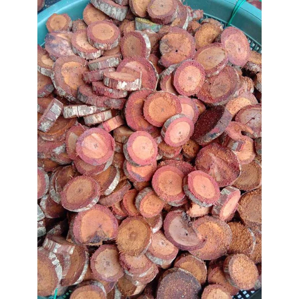 [Paket 3kg] Akar Kayu Bajakah Tampala MERAH kering Siap Seduh (100% Original) Asli Kalimantan