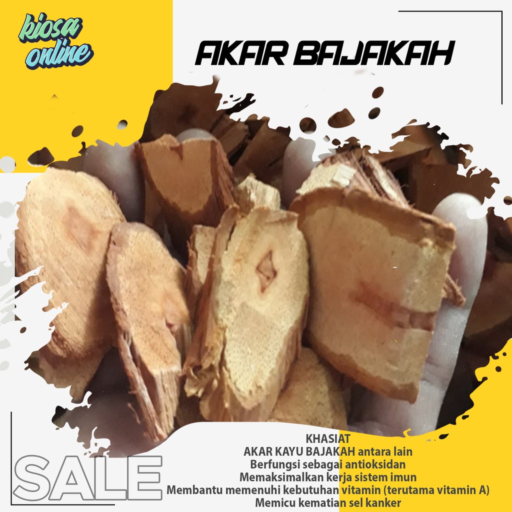 

KAYU BAJAKAH ASLI HUTAN KALIMANTAN